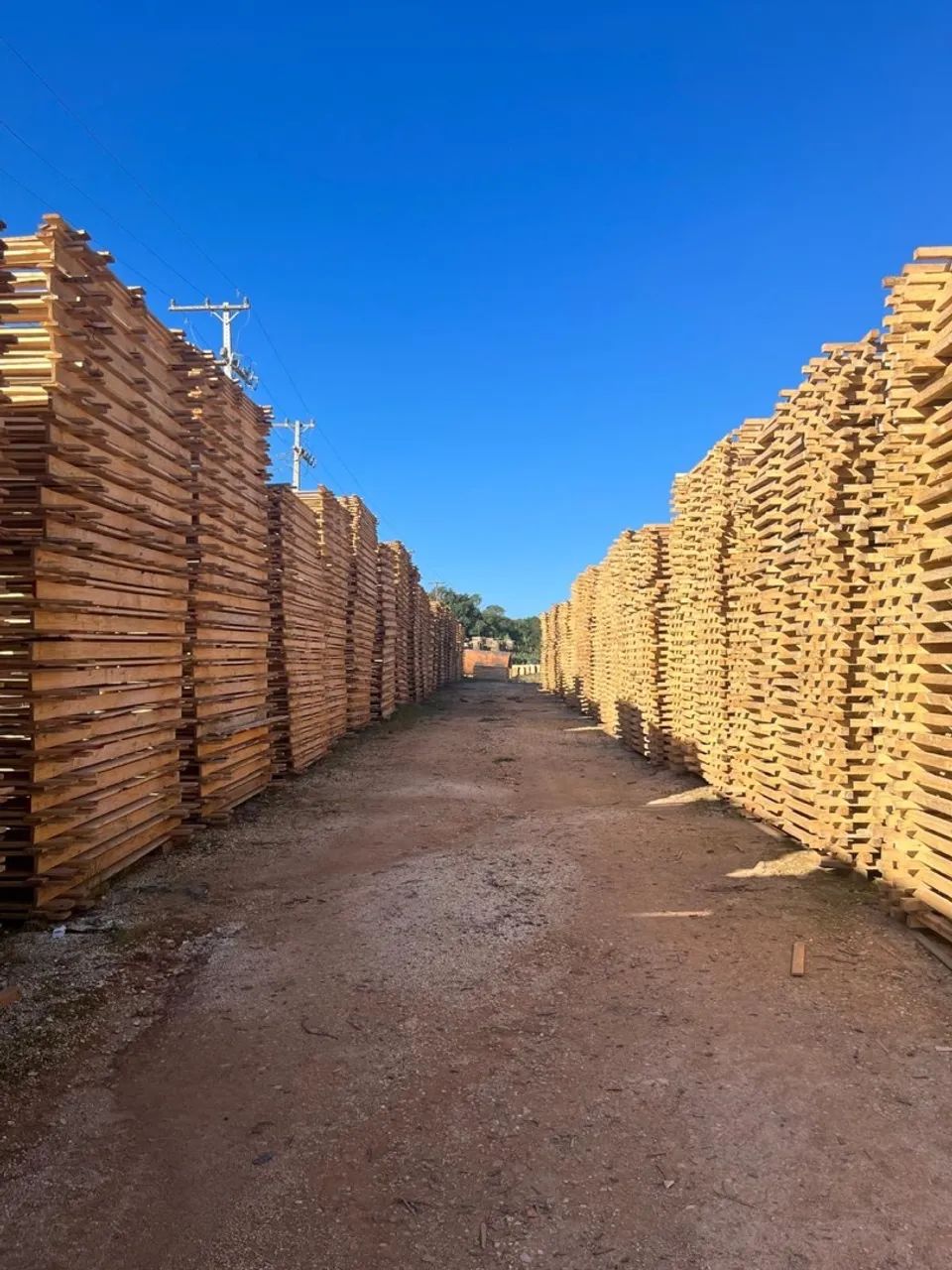 Madeiras em Curitiba e região, PR