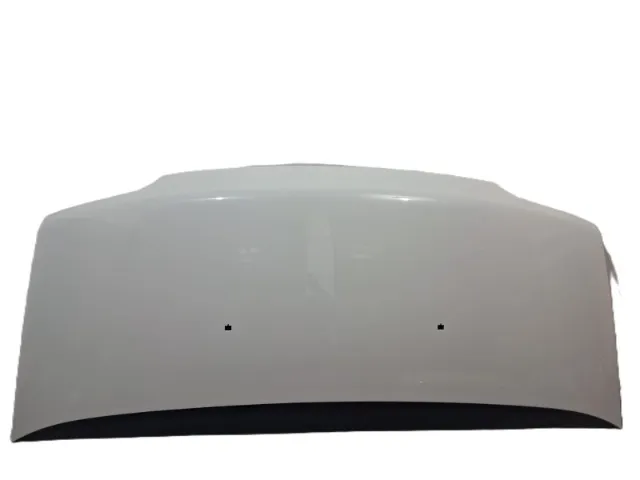 Capo Fiat Ducato Pintado 2006/2017 (Usado)