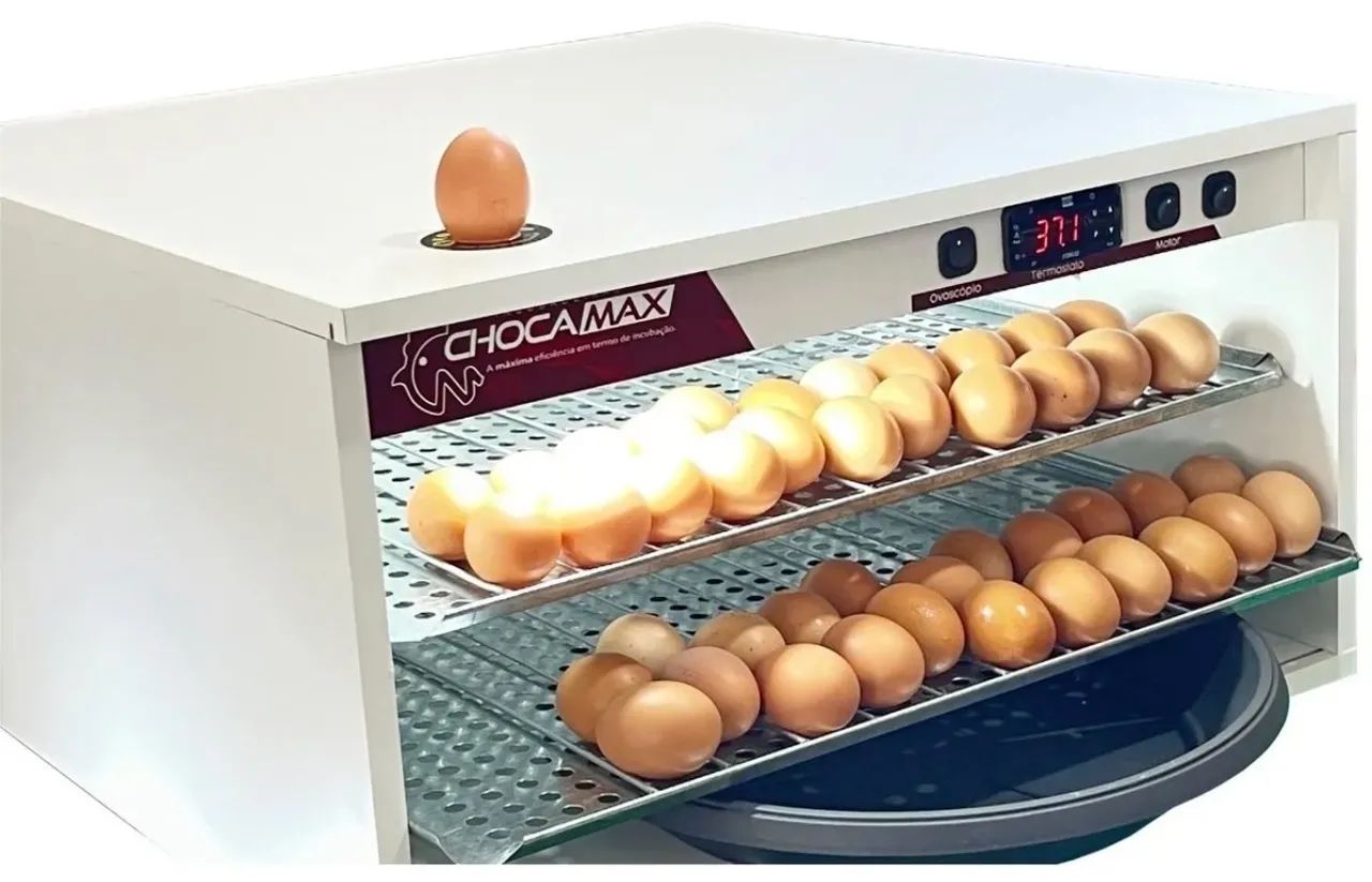 Vendo Chocadeira Chocamax 180 Ovos Automática Digital - Foto 3