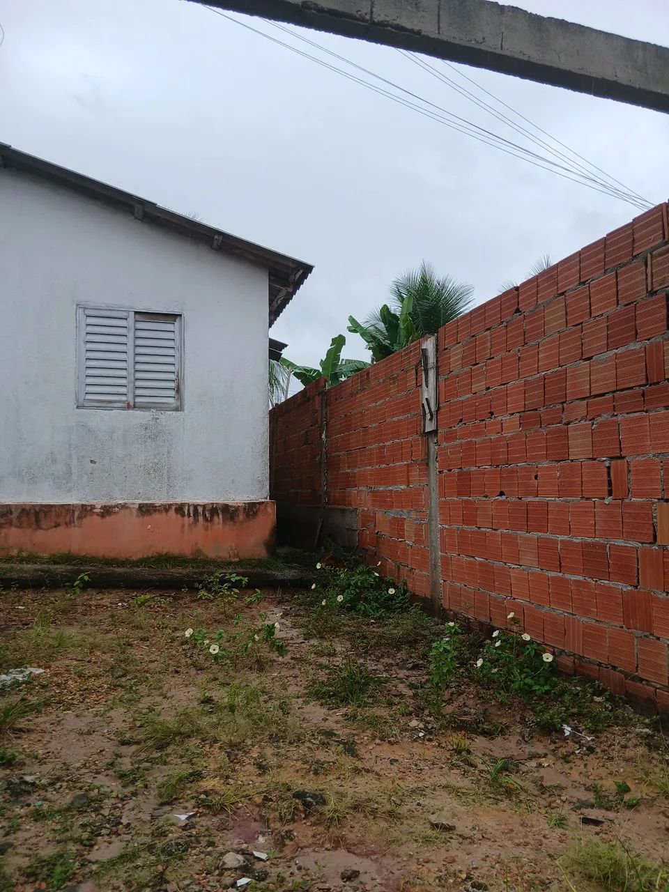 Foto - Manaus - Novo Aleixo