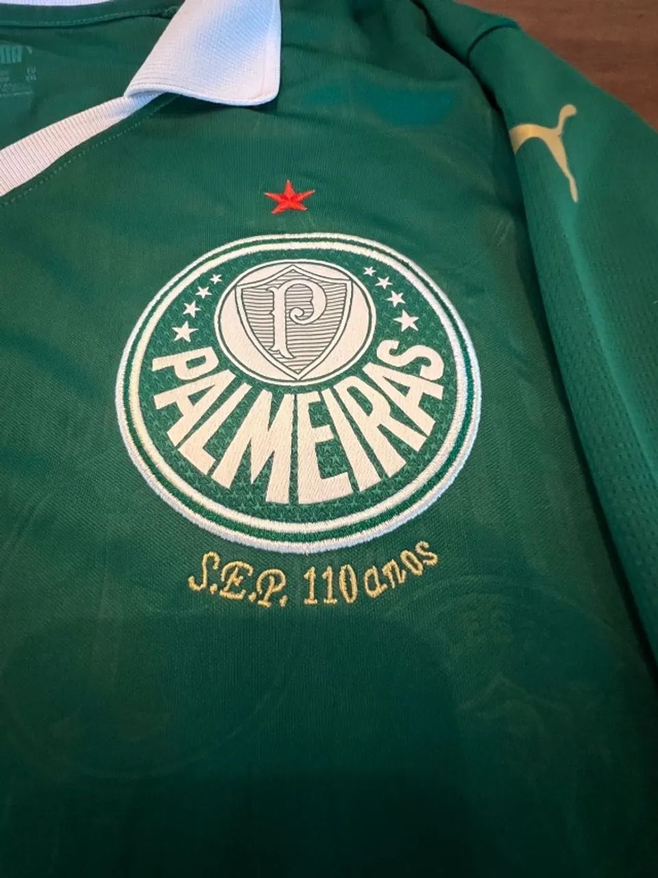 Camisa Palmeiras 2024 home 100% original #22 Piquerez - Foto 4