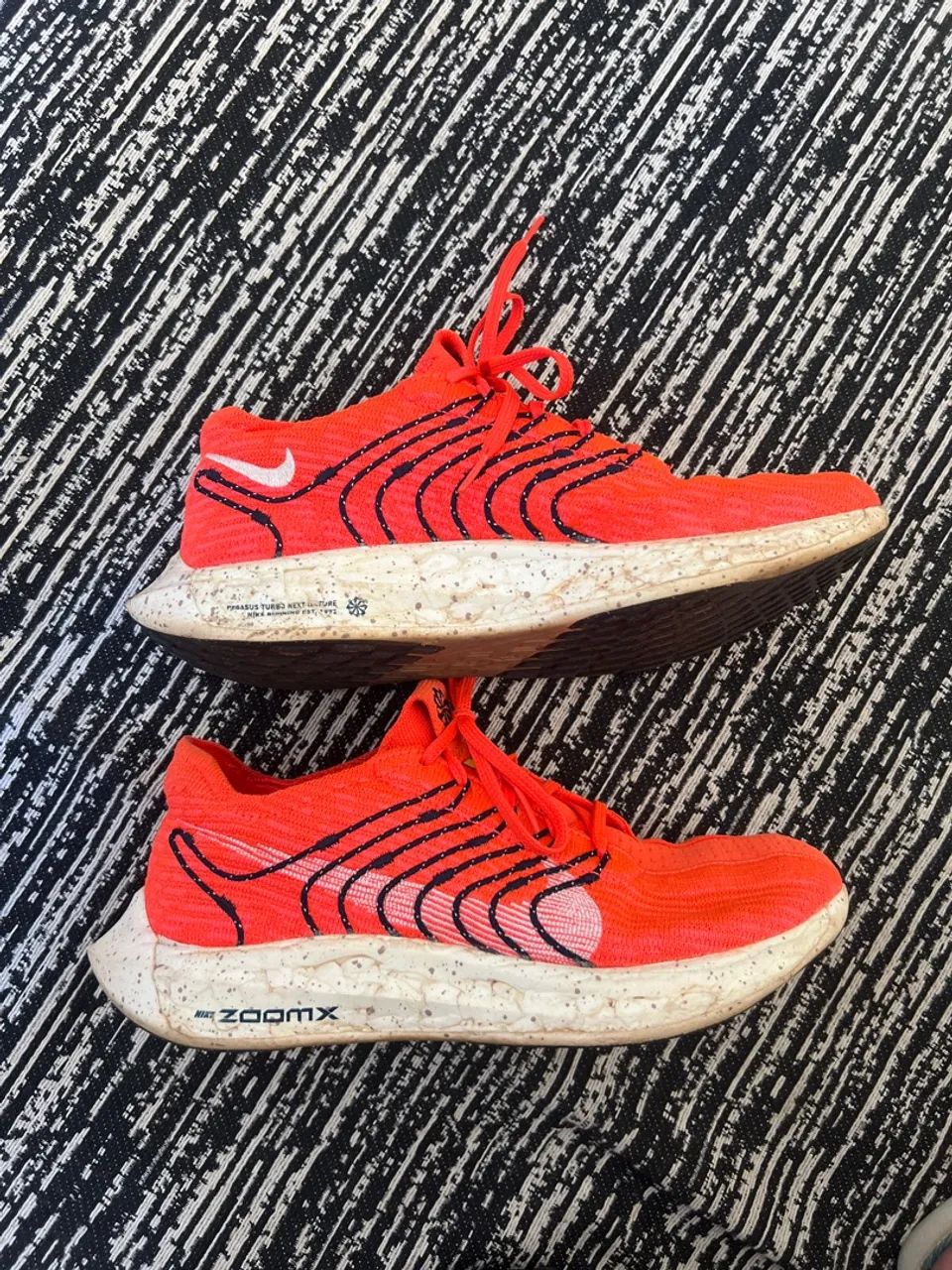 Tênis Nike pegasus turbo