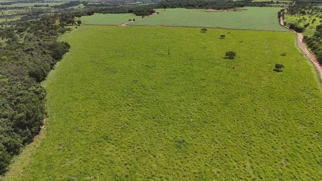 Imóvel para venda possui 550 metros quadrados com 5 quartos em Testo Salto - Blumenau - SC - Foto 6