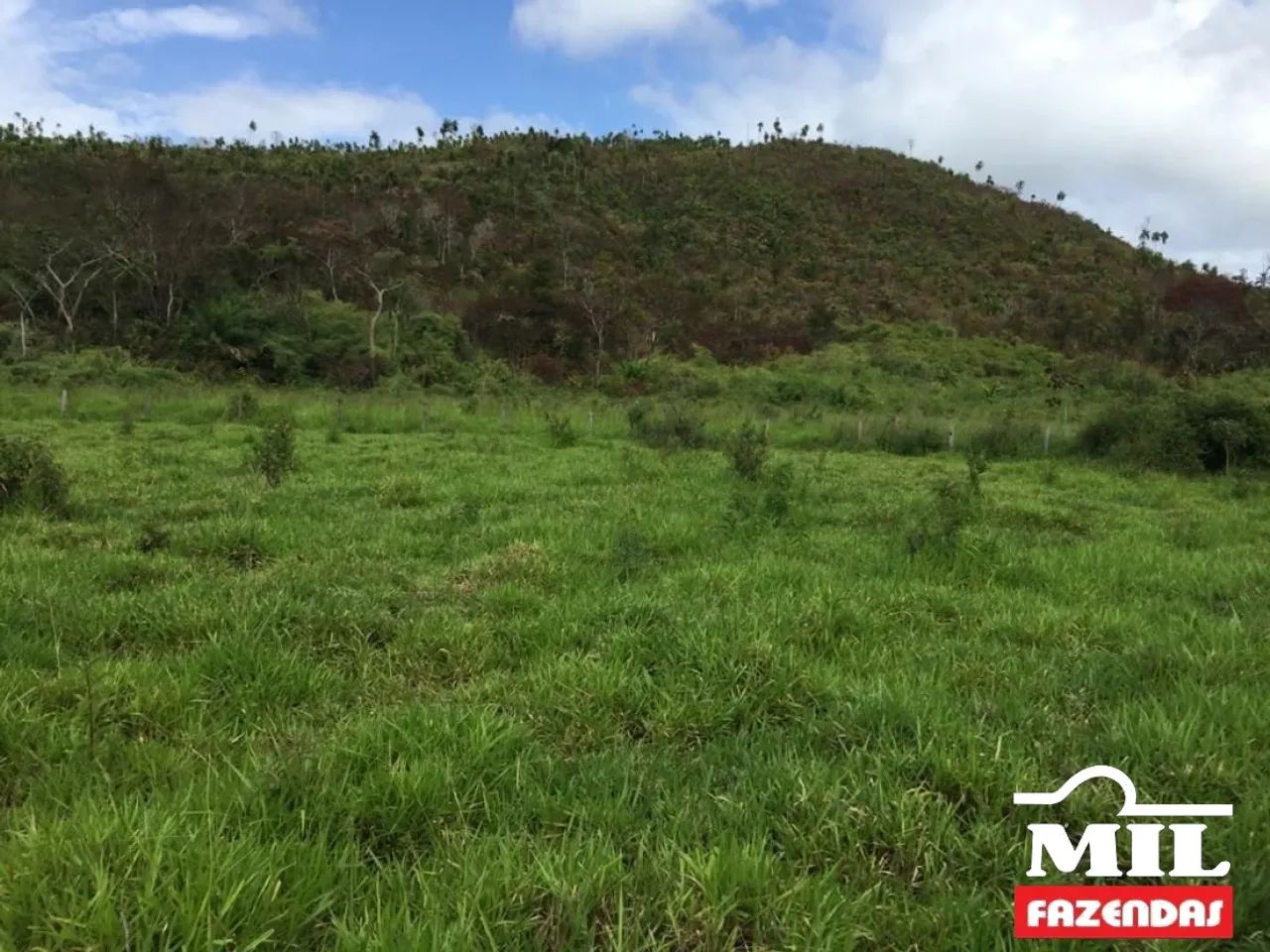 Fazenda em Confresa-MT. . 505 Alq. (2.444 Há) - Foto 3