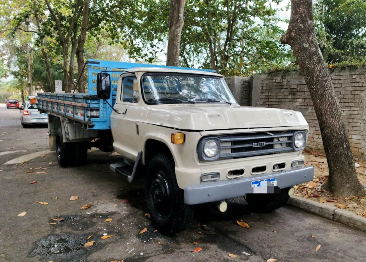 CAMINHÃO CHEVROLET D60 MECÂNICA TODA MERCEDES 1113 PRONTO PARA TRABALHAR - Foto 8