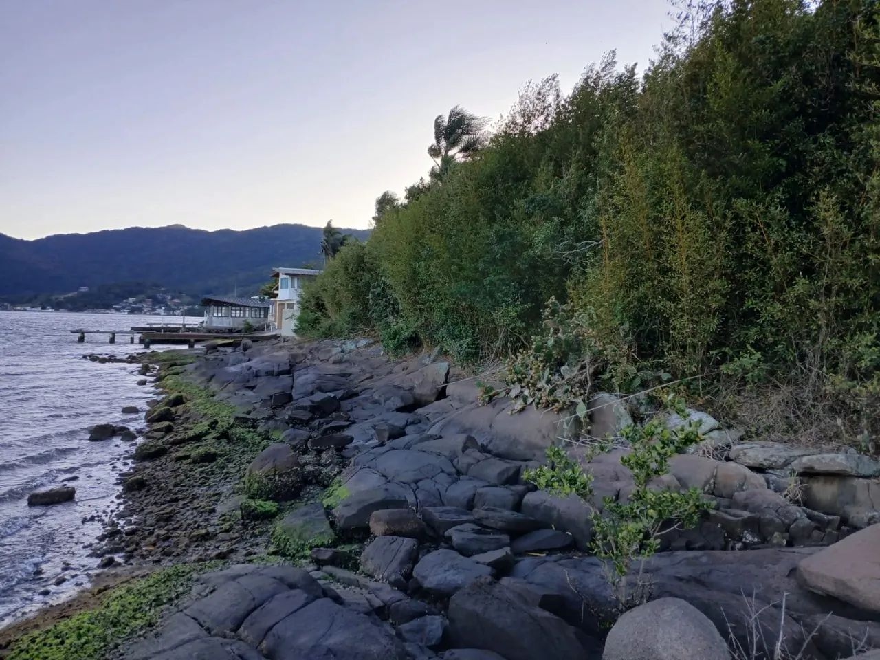 Terreno no Ribeirão da Ilha - Foto 5