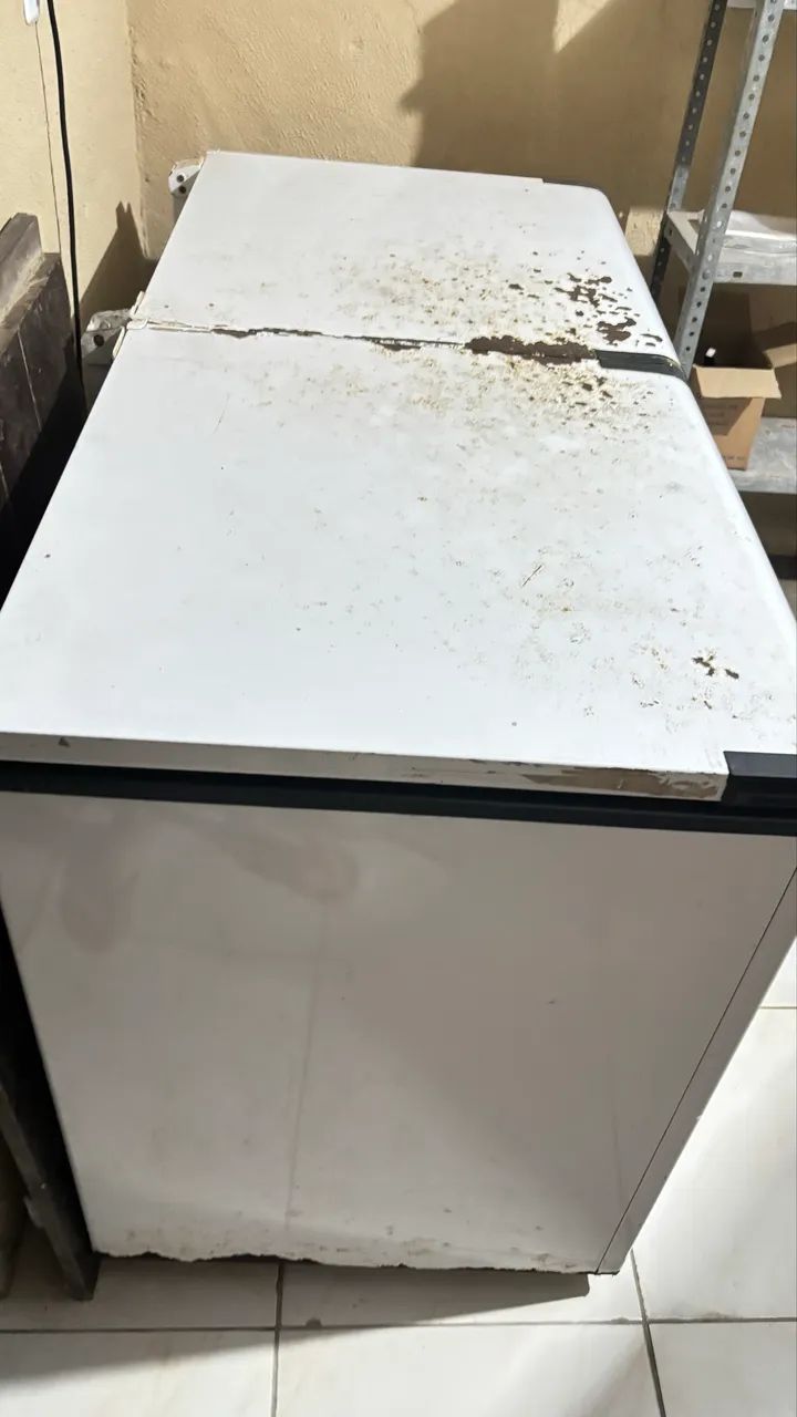Freezer Horizontal 2 portas 439 L - Foto 5