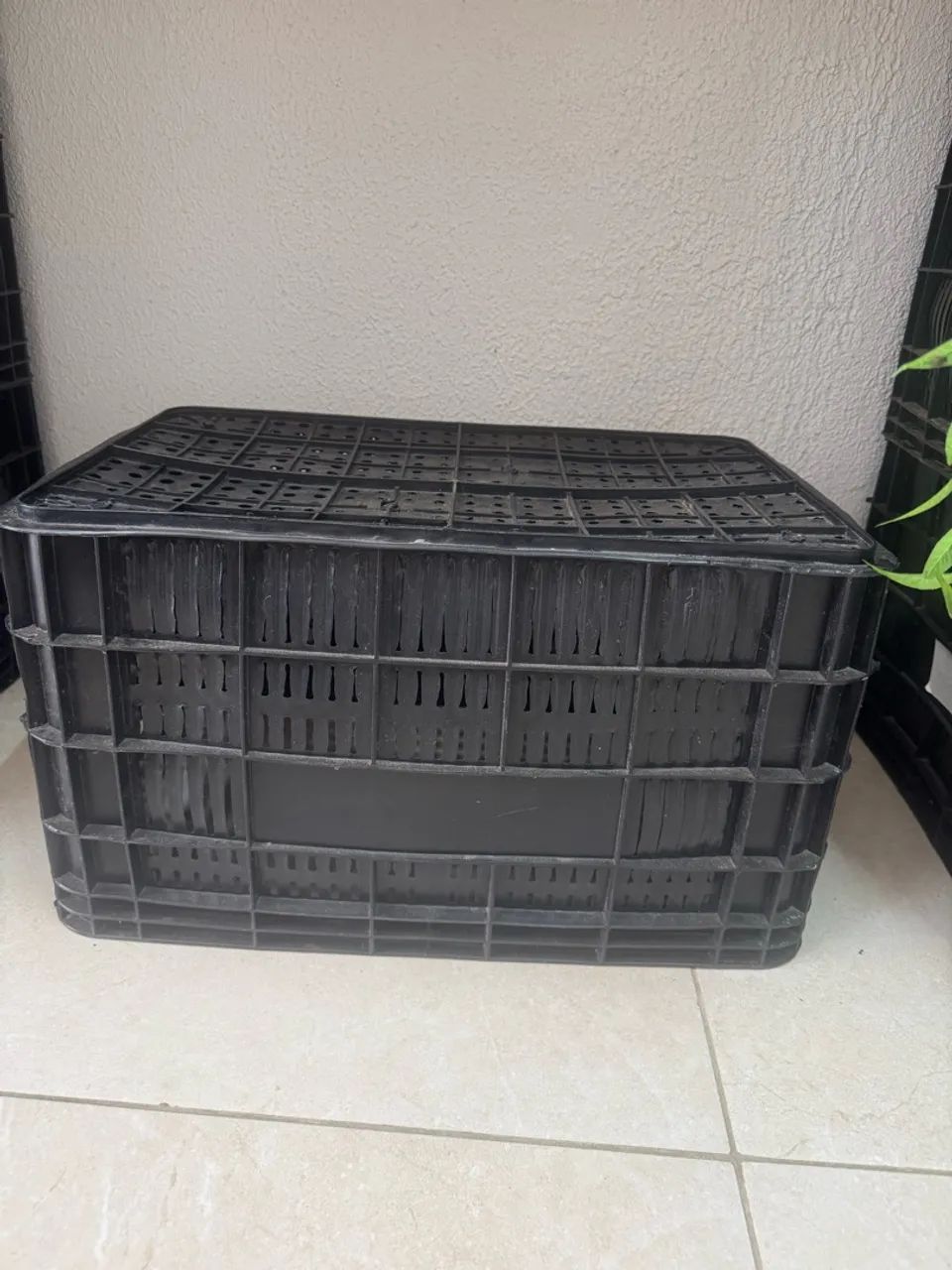 Caixas