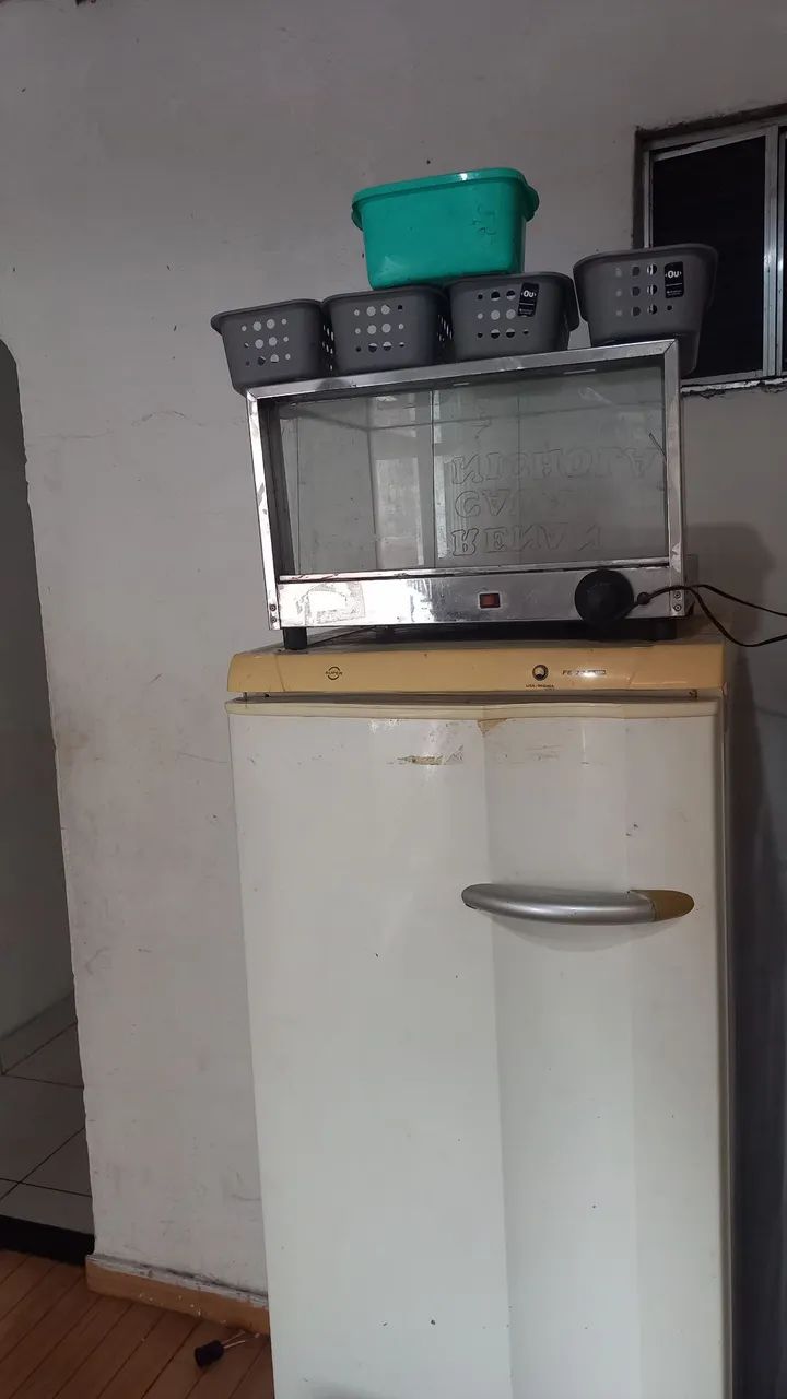 Vendo freezer e estufa juntos 
