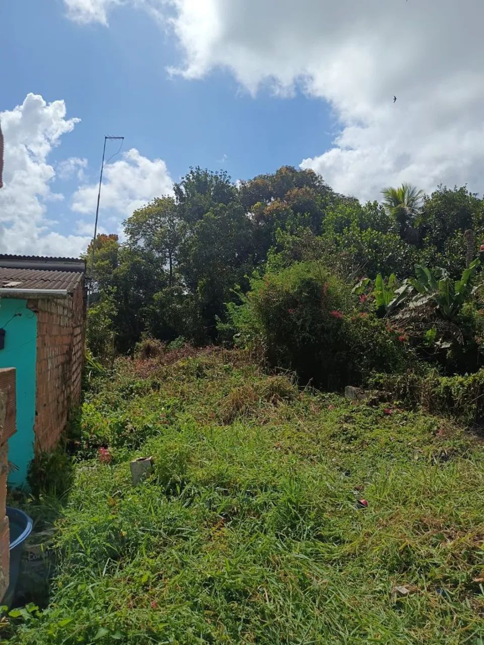 Terreno  em Amélia Rodrigues  - Foto 3