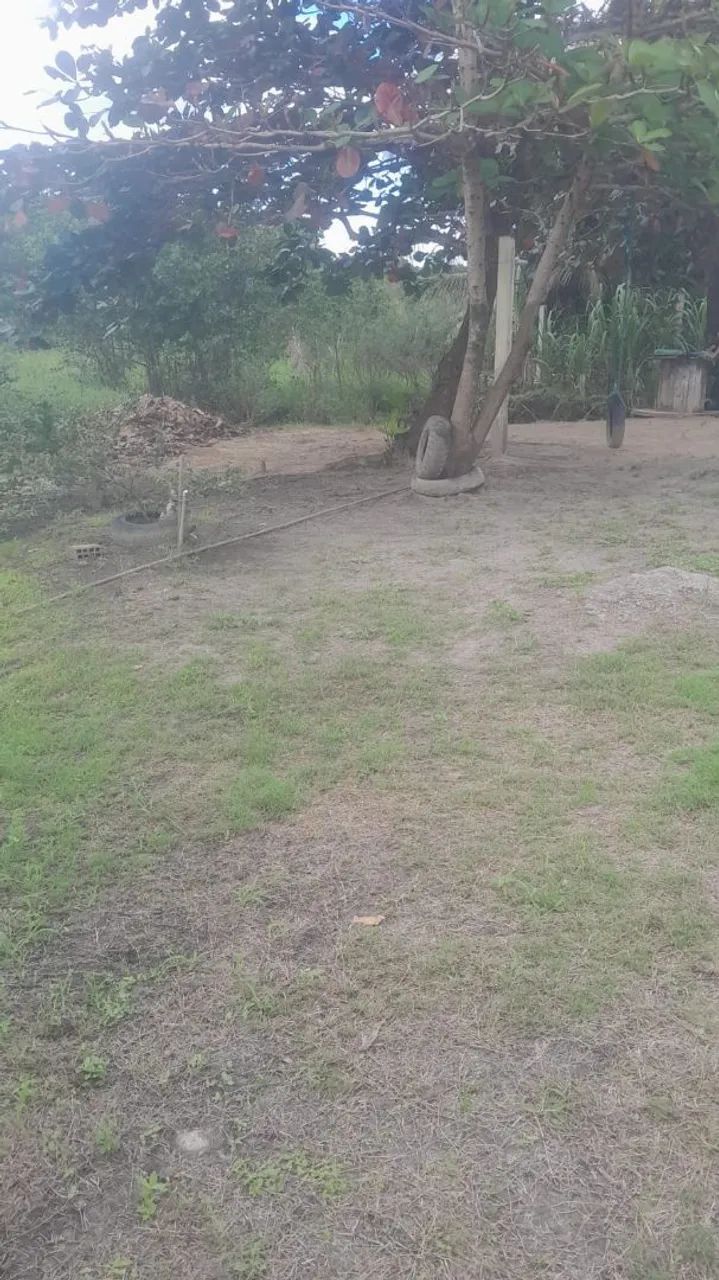 Chácara  - Foto 5