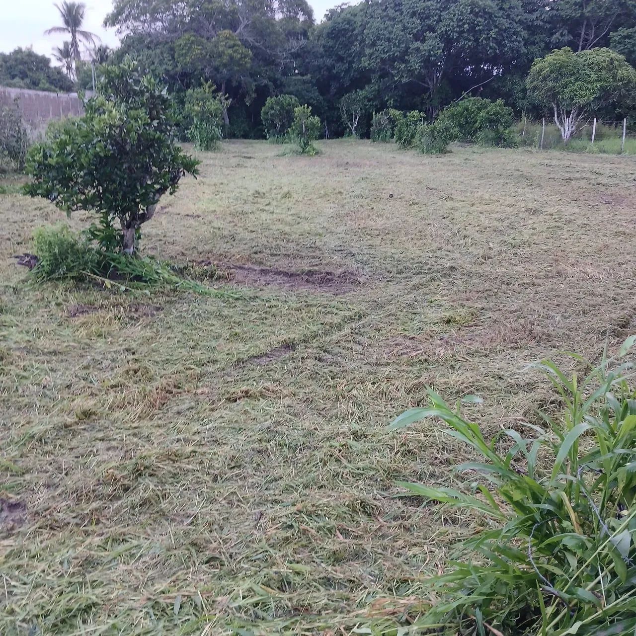 Terreno para venda no município de  Salgado 