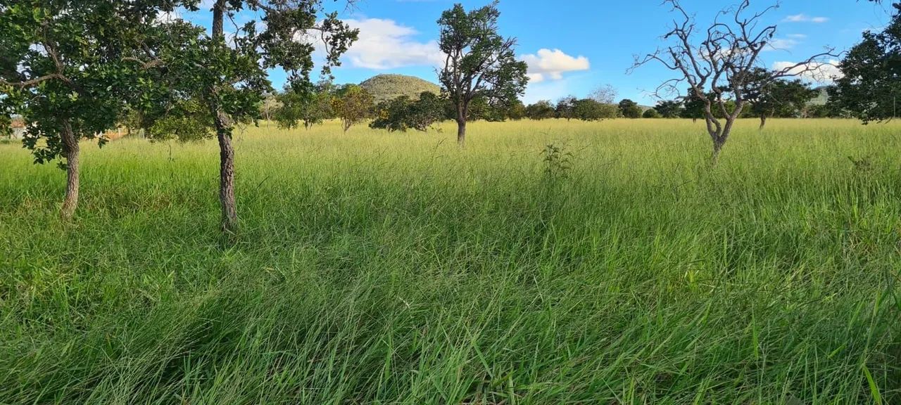 Fazenda  - Foto 5