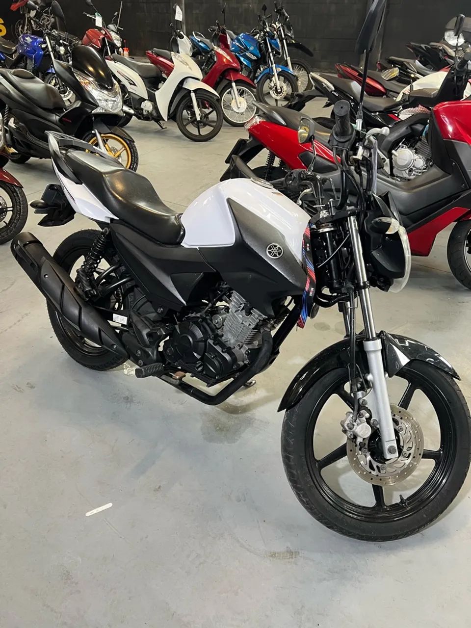 Factor 150 ED 2023