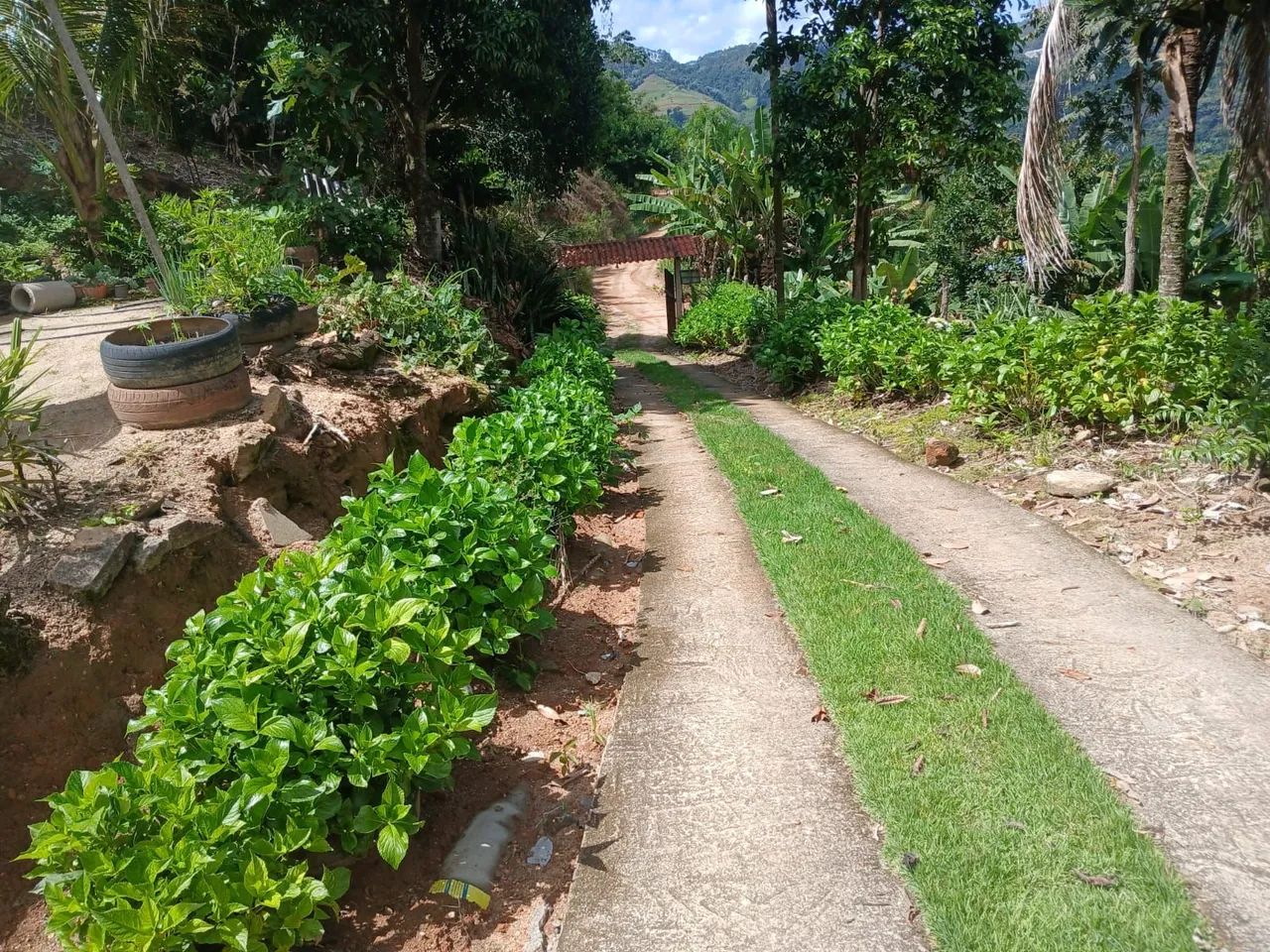 Chácara em Piraí - Foto 3