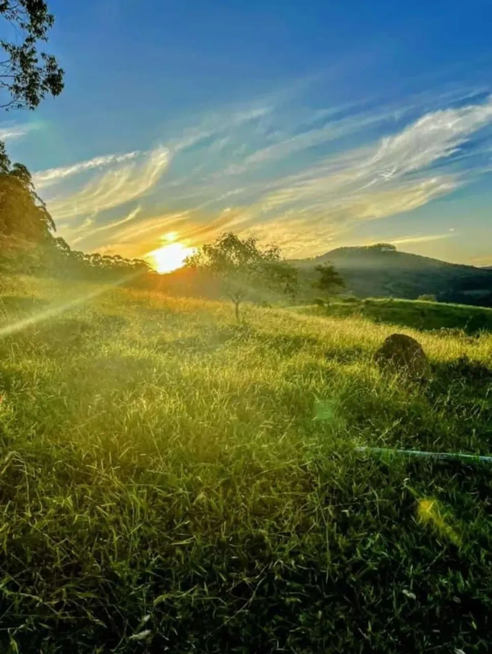 SUA CHÁCARA EM IGARATÁ PODE COMEÇAR AQUI! - Foto 4