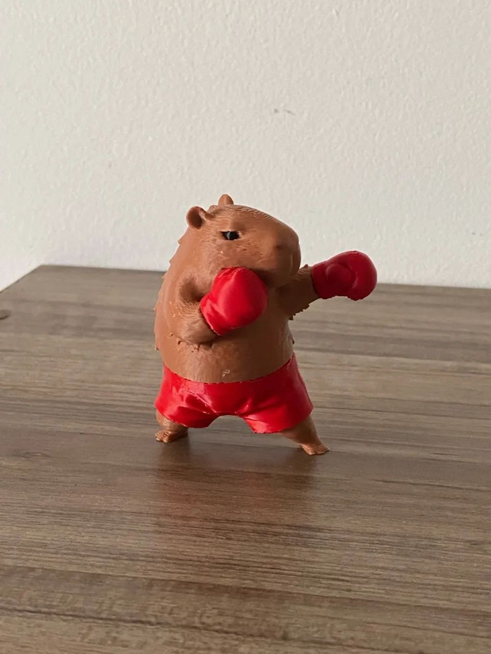 Capivara Boxeadora