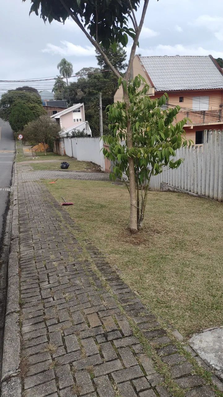 Jardineiro disponível  - Foto 4