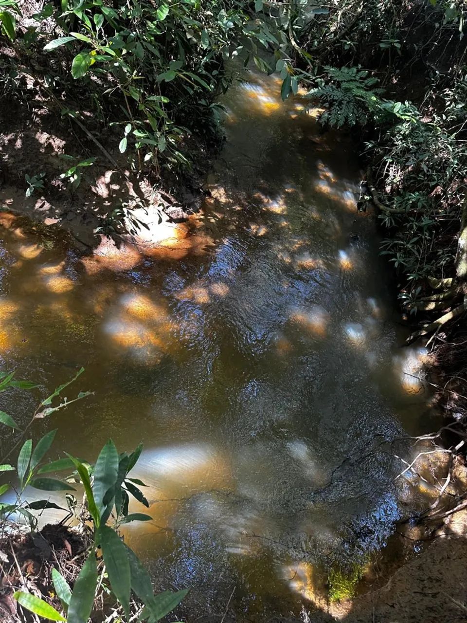 Chácara gameleira de Goiás 