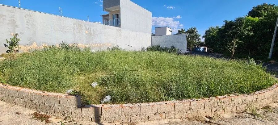 TERRENO JARDIM SANTA MARTA - Foto 4