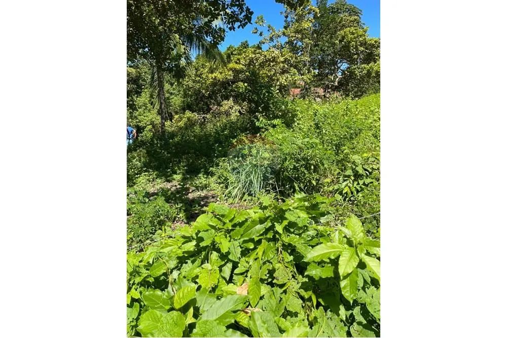 Terreno em guaxuma Maceió, AL-101 - Foto 8