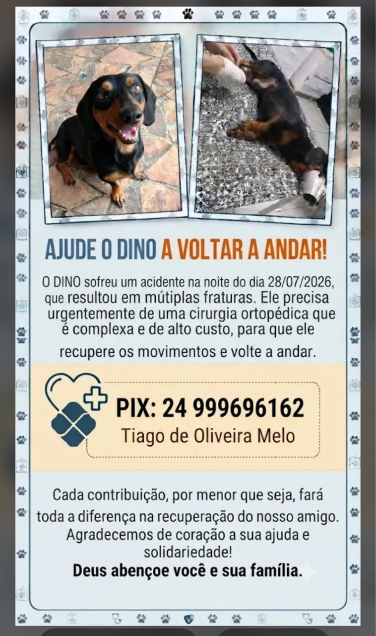 Três em um só preço  - Foto 3
