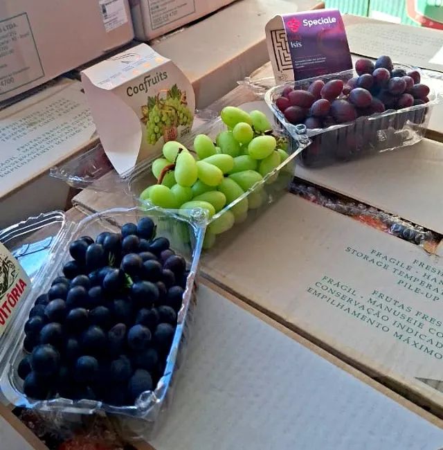 Uvas Selecionadas - Foto 4