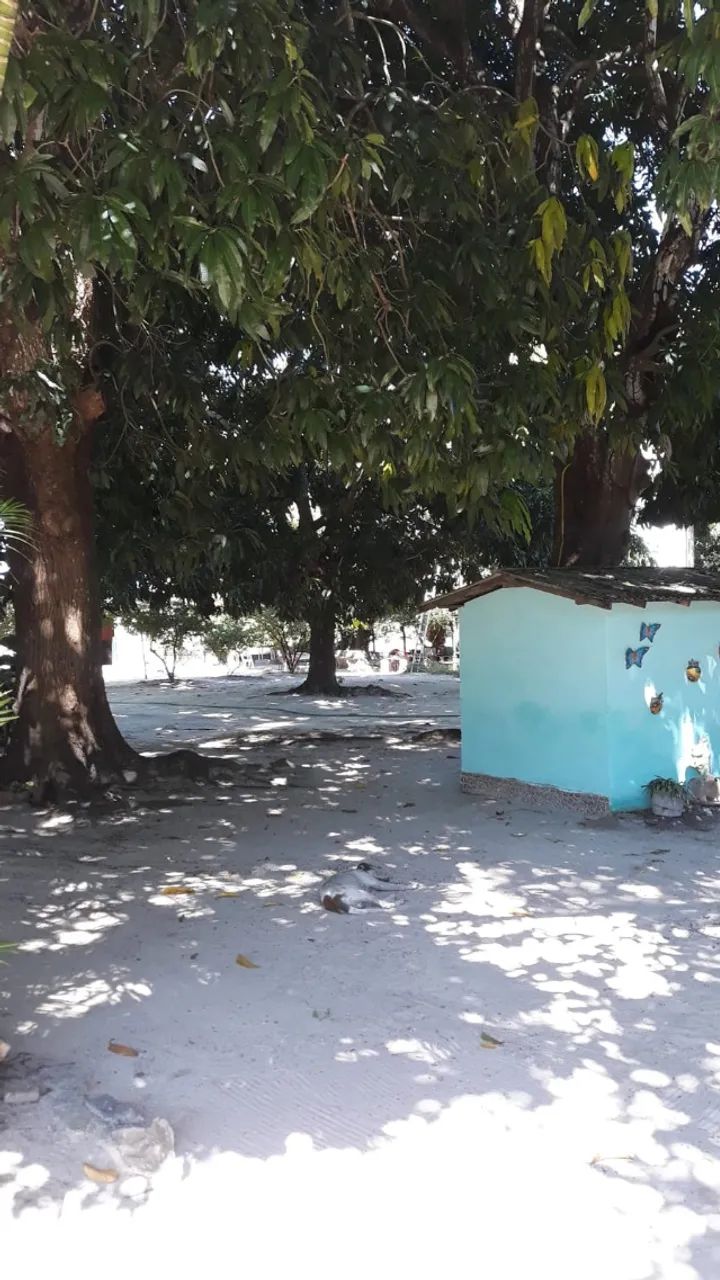 Sitio com casa de principal e de caseiro - 1000m² de área de terreno