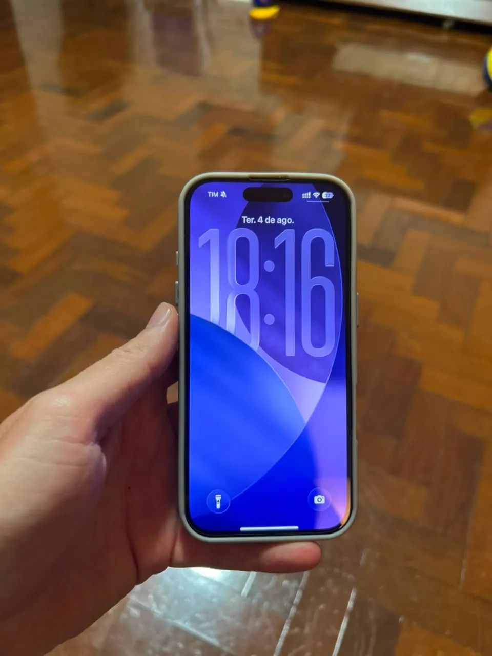 iPhone 16 Pro 256 GB (leia descrição)