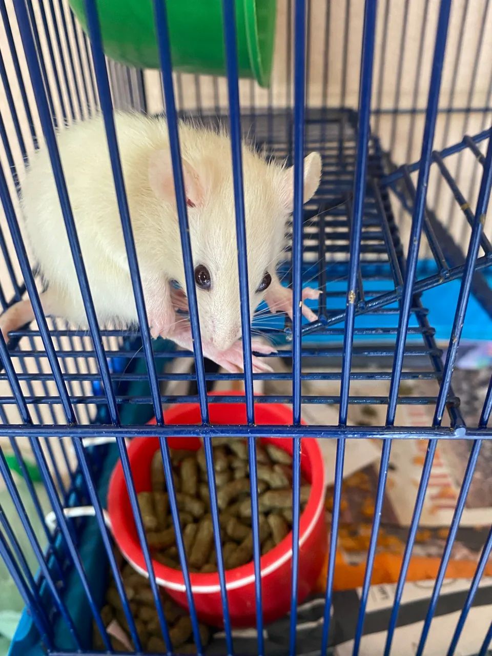 Doação twister mercol - Foto 4