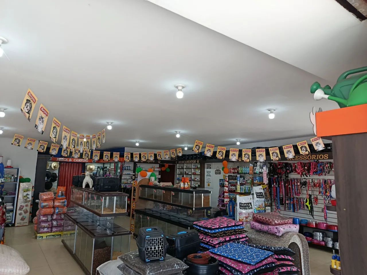 Vende-se Loja Agro Pet em Trindade  - Foto 4