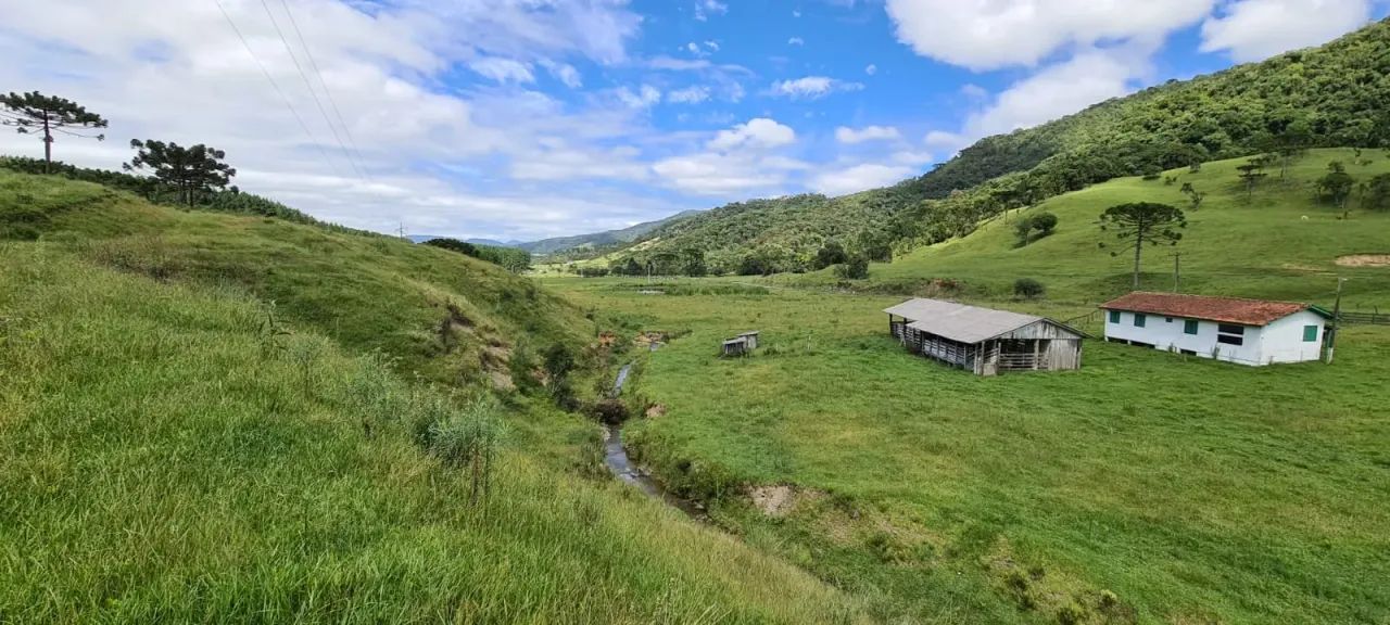 Sitio em Bom Retiro- Serra Catarinense -184.000 m²