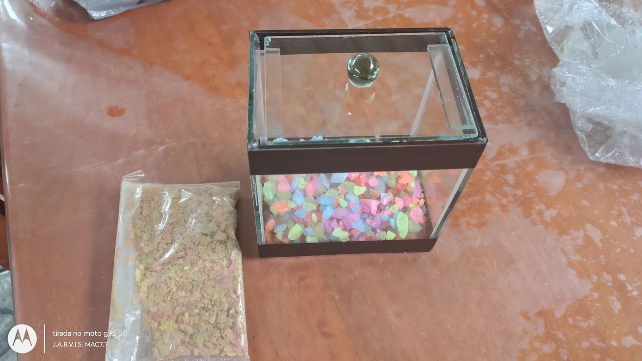 Aquário completo com pedras coloridas  - Foto 4