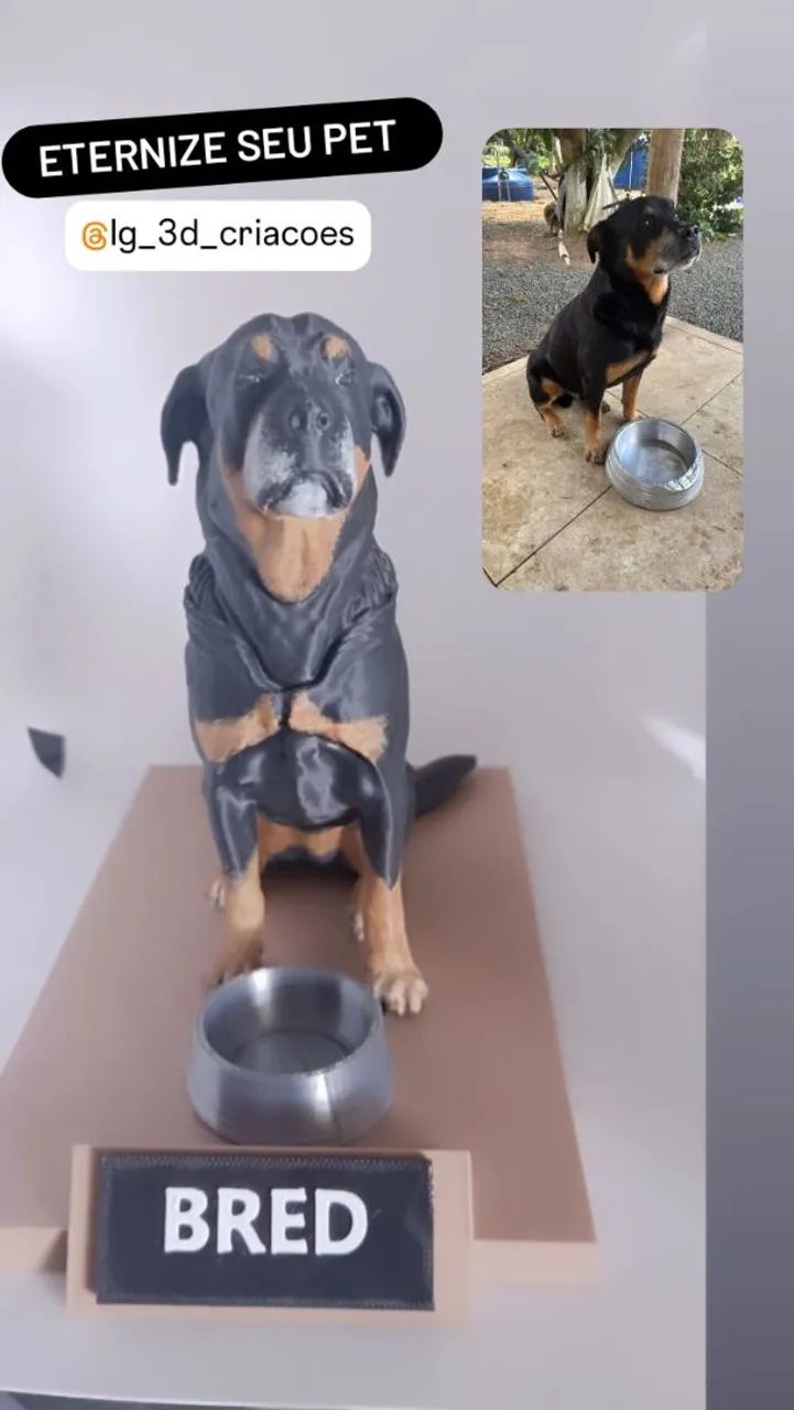 Escultura Pet em 3d  - Foto 2