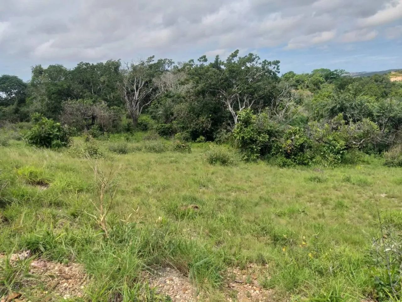 Terreno à venda no Guajará - Foto 5
