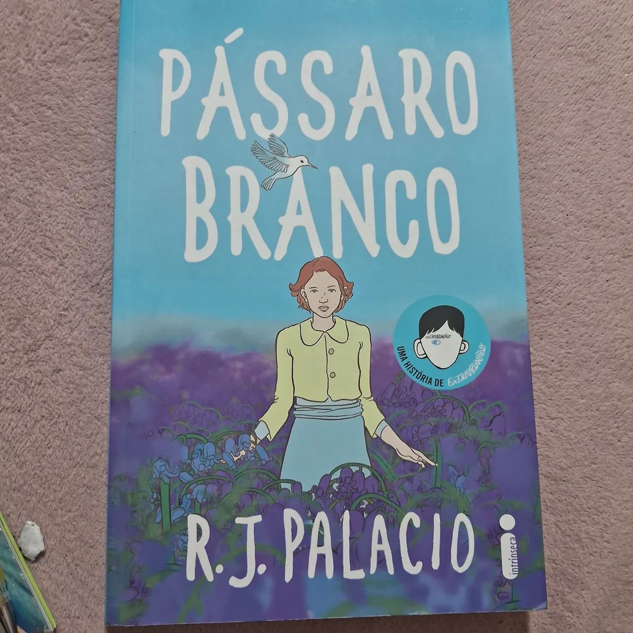Livro pássaro branco 