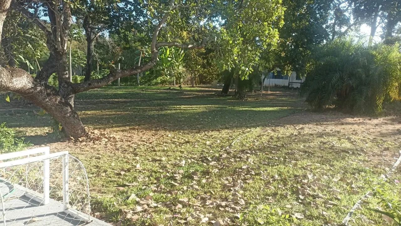Temporada Aruana  - Foto 2
