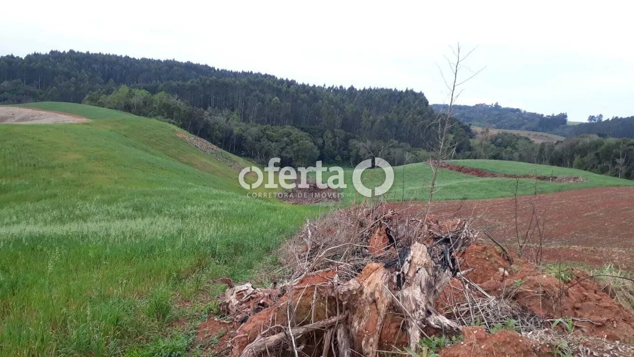 Chácara / Terreno em Quitandinha - Foto 3