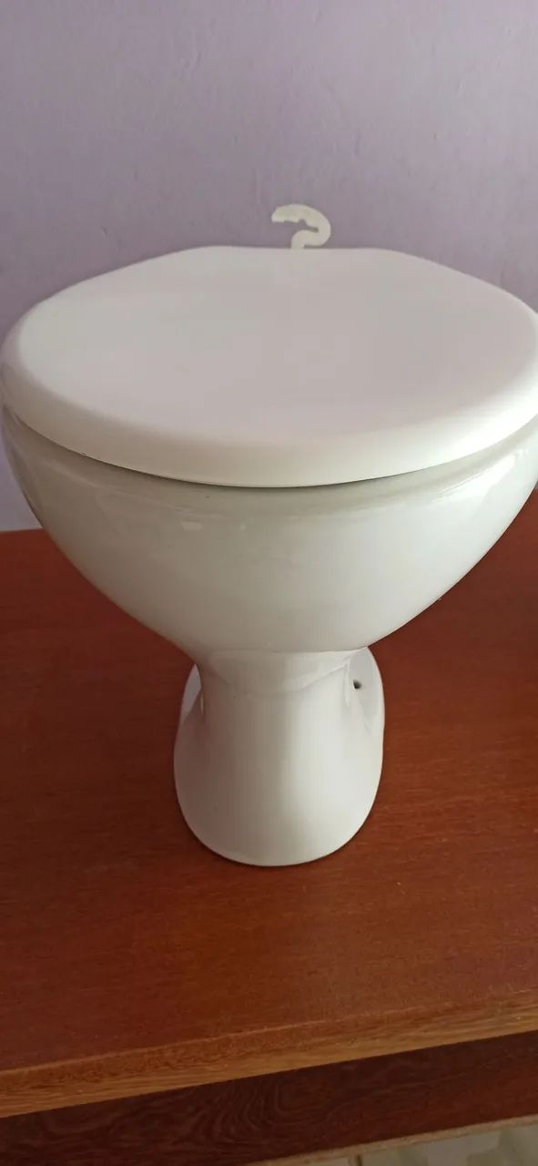 Vaso sanitário com acento 