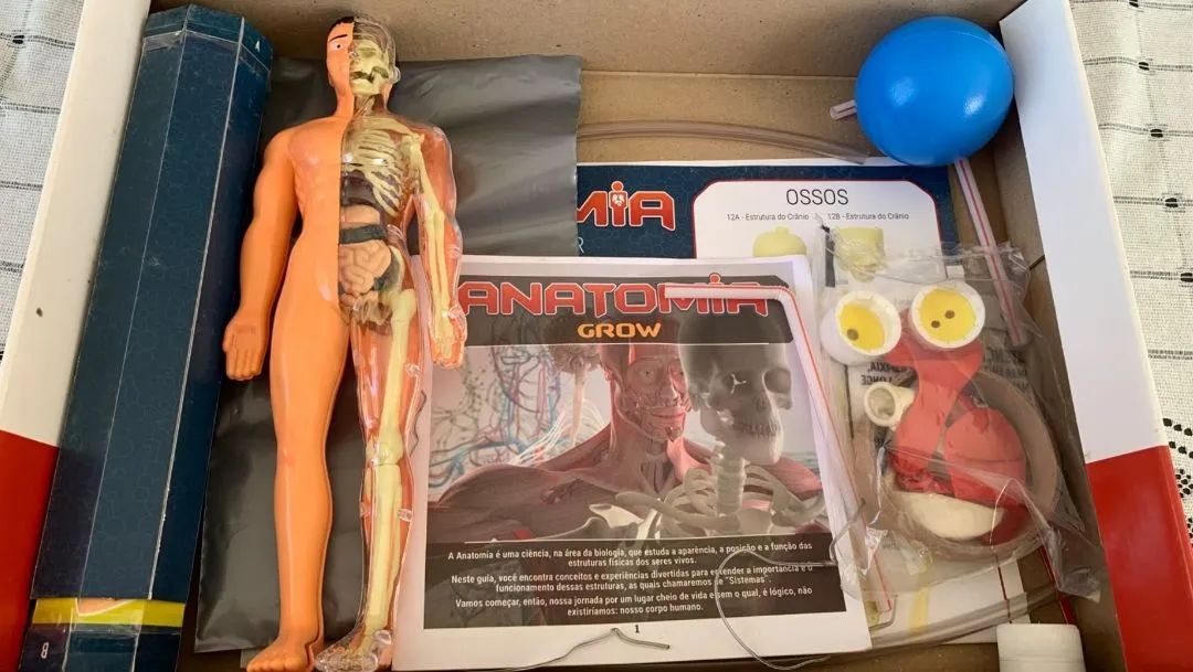 Jogo Brinquedo Educativo Anatomia - Foto 2