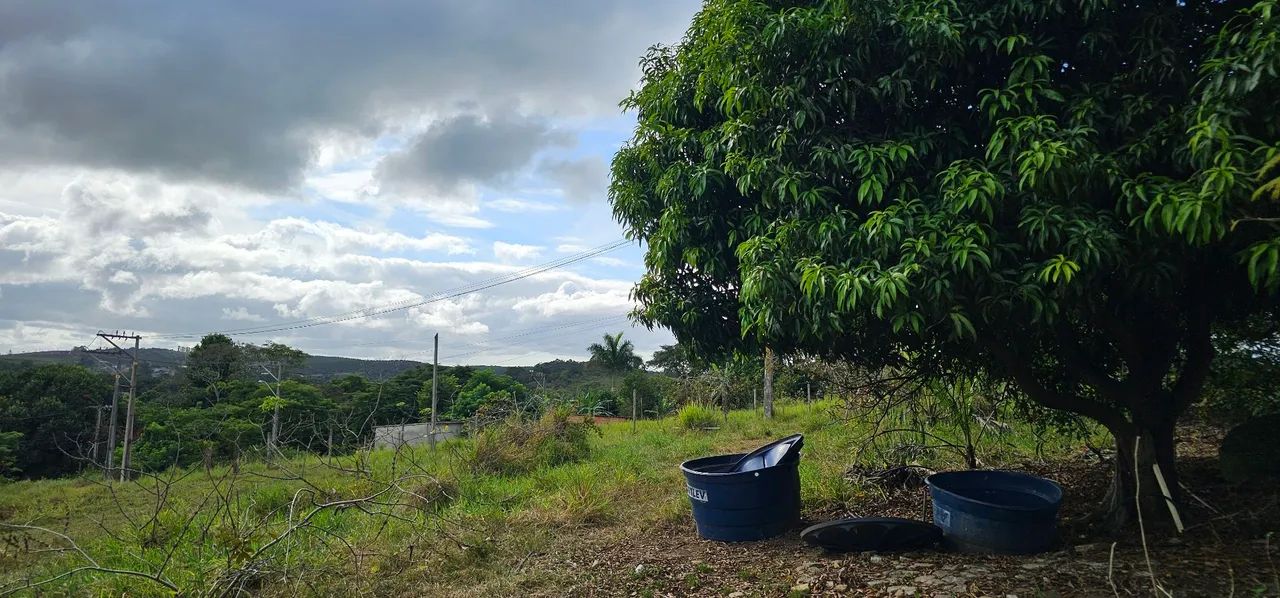 Terreno com kitnet em cantagalo - Foto 4