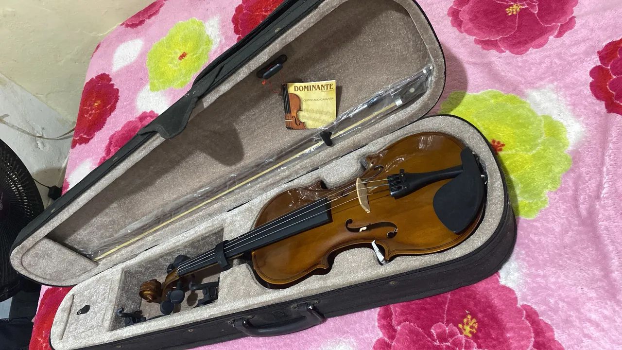 Vendo violino em perfeito estado 