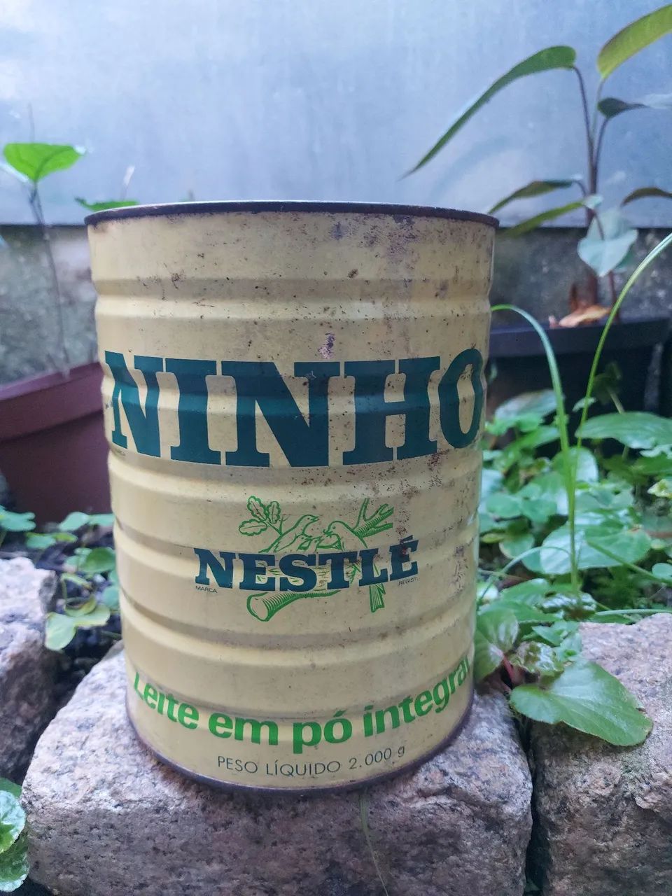 Lata de leite ninho Anos 50