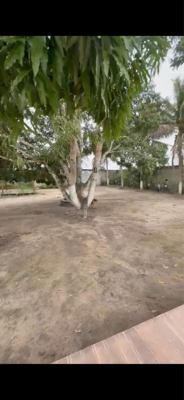 Chácara no pau ferro próximo a Teotônio e Junqueiro  - Foto 4