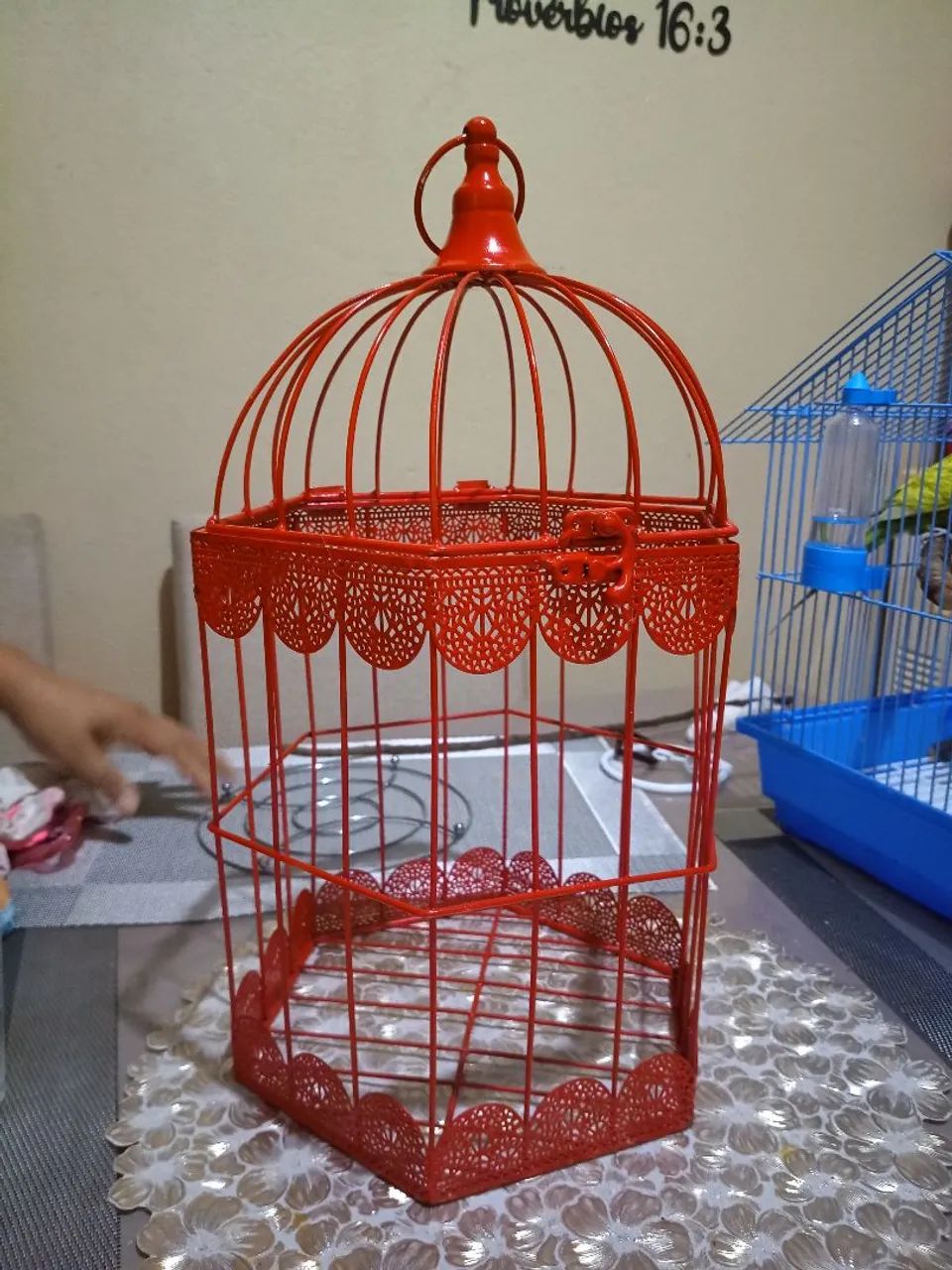 Gaiola Decorativa  - Foto 2