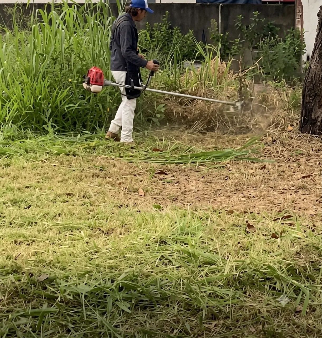 Corte de grama e roçagem