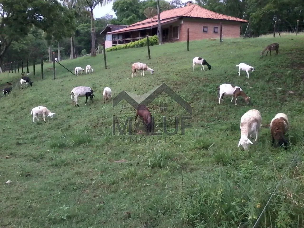 Sítio à venda, Saltinho, SP - Foto 2