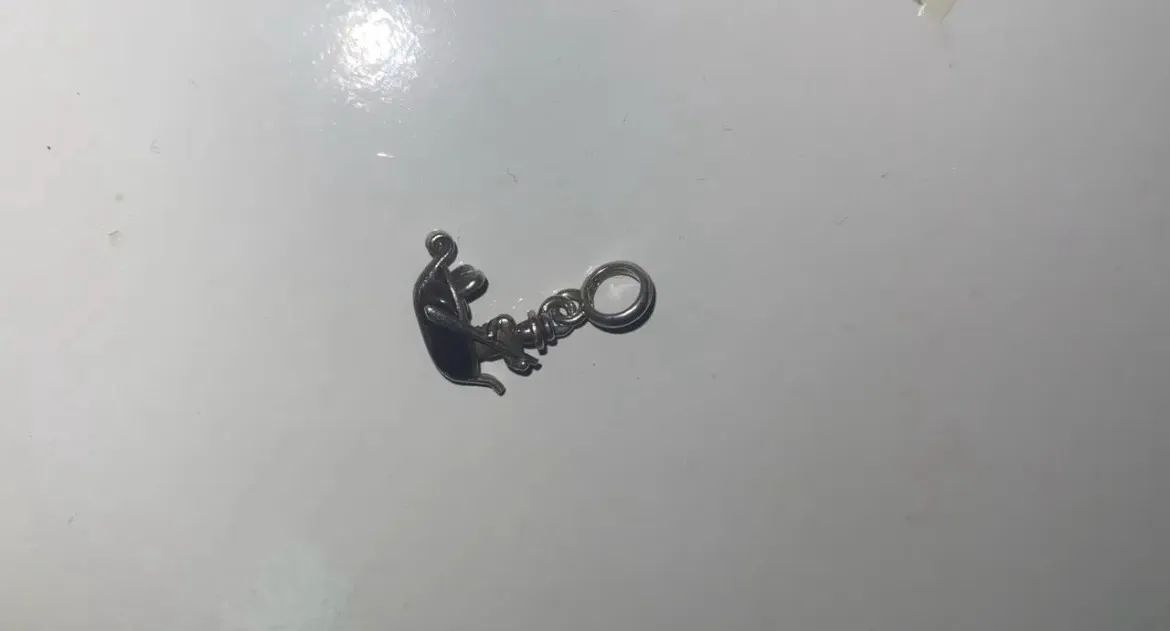 Vendo Berloque Original Vivara - Foto 2