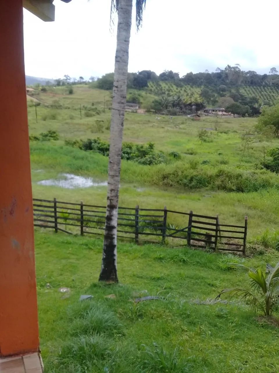 Venda 