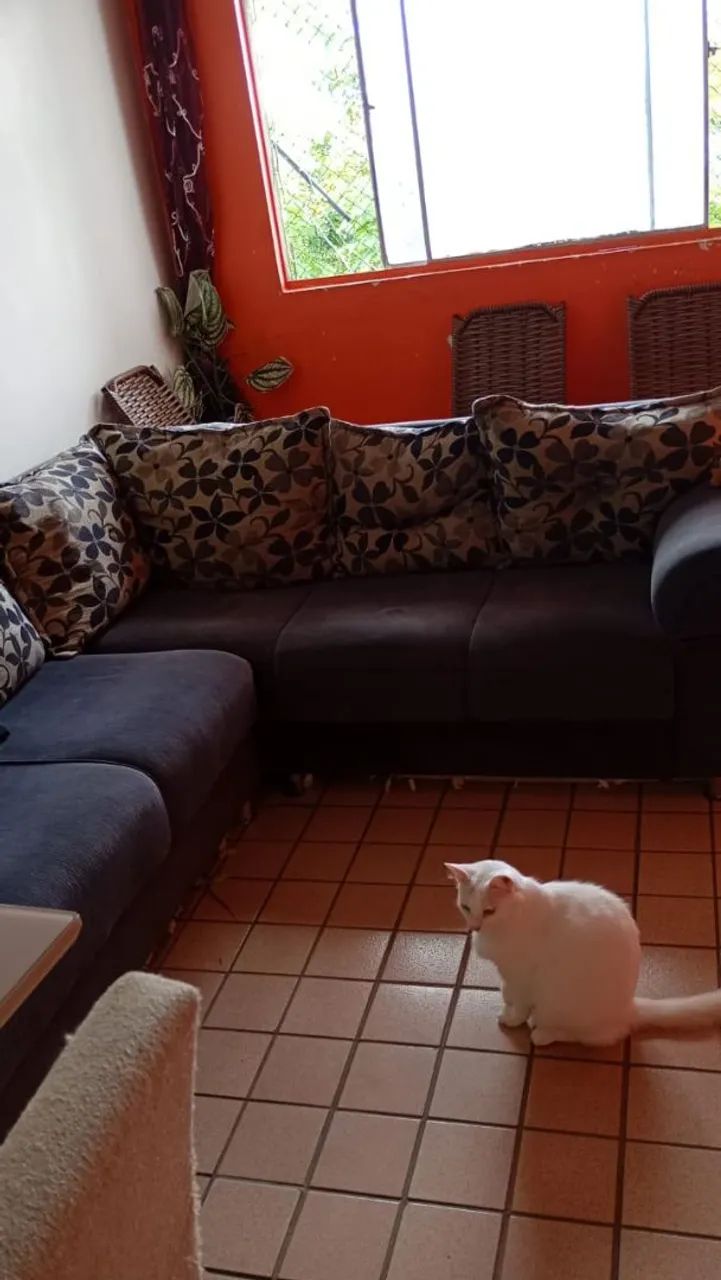 Apartamento Conjunto Medeiros Neto - Foto 2